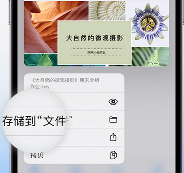 黔西apple维修中心分享iPhone文件应用中存储和找到下载文件