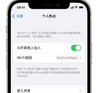 黔西apple服务站点分享iPhone上个人热点丢失了怎么办 