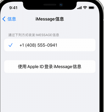 黔西apple维修iPhone上无法正常发送iMessage信息 