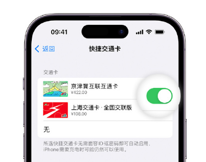 黔西apple维修点分享iPhone上更换Apple Pay快捷交通卡手绘卡面 