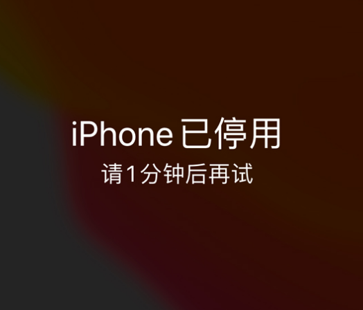 黔西苹果手机维修分享:iPhone 显示“不可用”或“已停用”怎么办？还能保留数据吗？ 