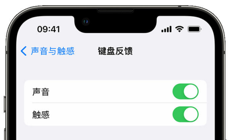 黔西苹果手机维修分享iPhone 14触感键盘使用方法 