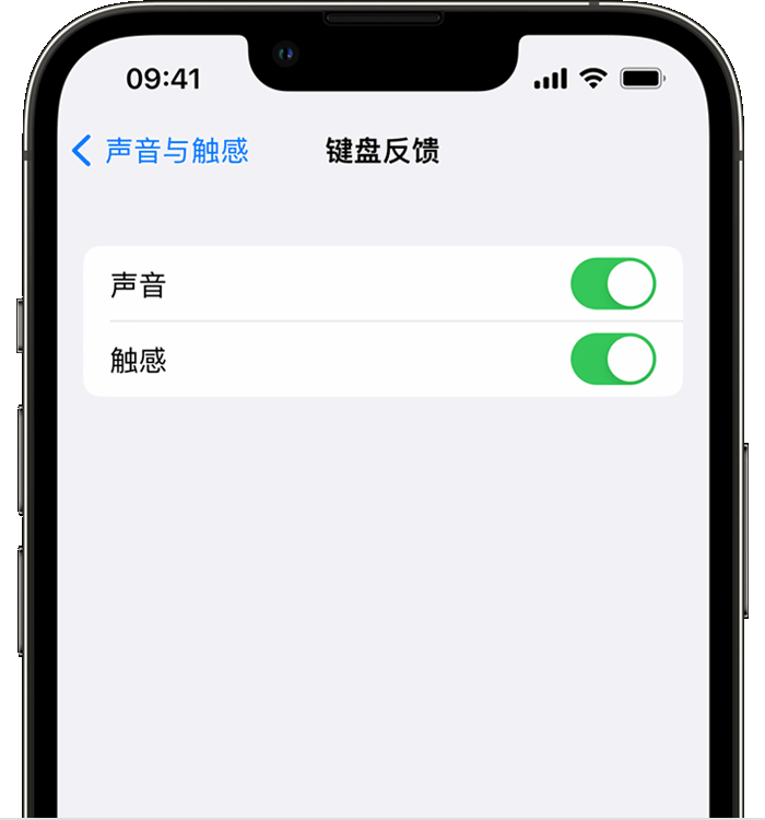 黔西苹果14维修店分享如何在 iPhone 14 机型中使用触感键盘 