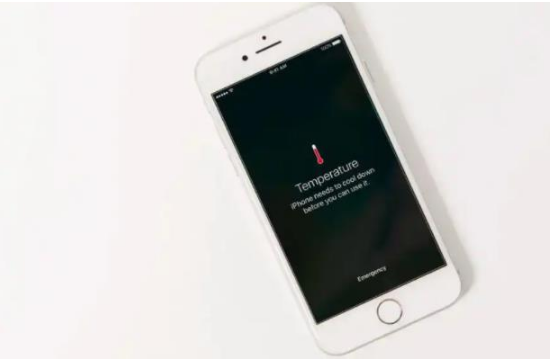 黔西苹果手机维修分享iPhone 手机发热如何快速降温 
