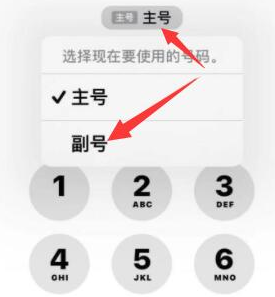 黔西苹果14维修店分享iPhone 14 Pro Max使用副卡打电话的方法 