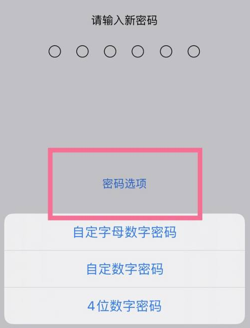 黔西苹果14维修分享iPhone 14plus设置密码的方法 