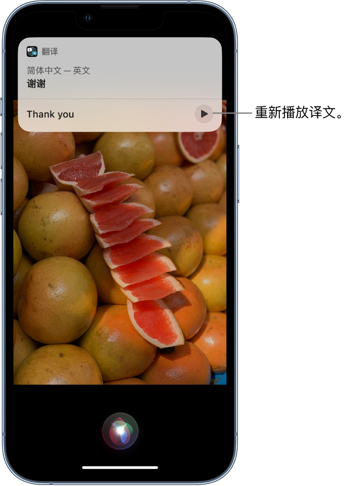 黔西苹果14维修分享 iPhone 14 机型中使用 Siri：了解 Siri 能帮你做什么 