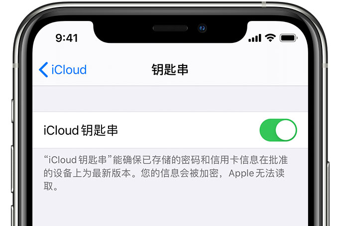 黔西苹果手机维修分享在 iPhone 上开启 iCloud 钥匙串之后会储存哪些信息 