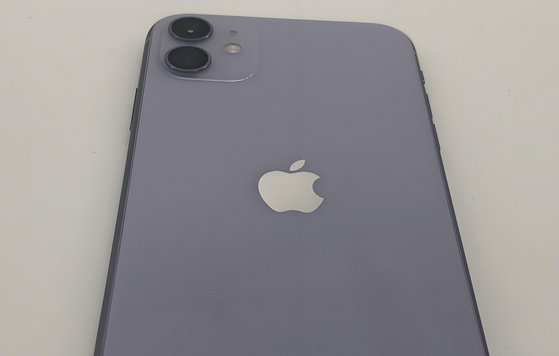 黔西苹果11系统维修分享iPhone11手机系统崩溃无法开机如何解决 
